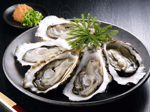 alg-oysters-jpg.jpg